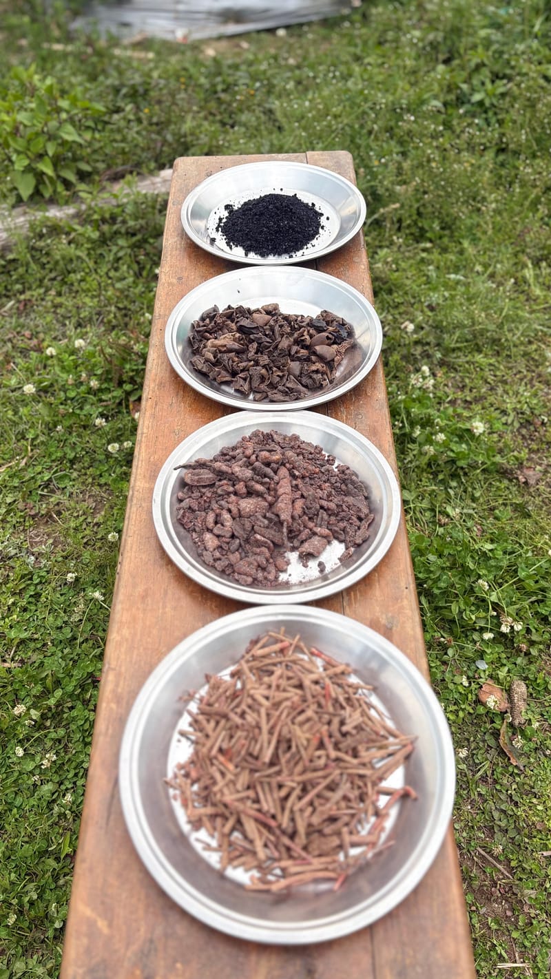 raw dye materials laid out in steel bowls on a wooden board